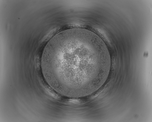 X0000090780457200707201527
