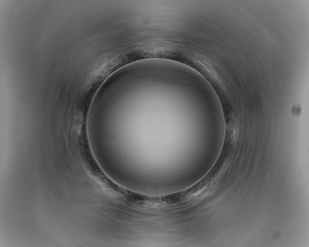 X0000090780458200707201527