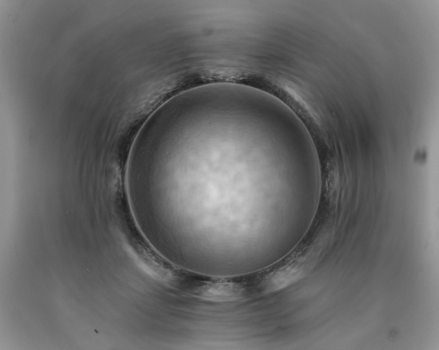 X0000090780459200707201527