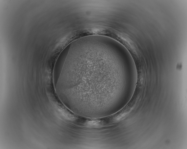 X0000090780461200707201527
