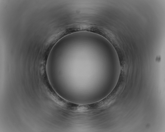 X0000090780462200707201527
