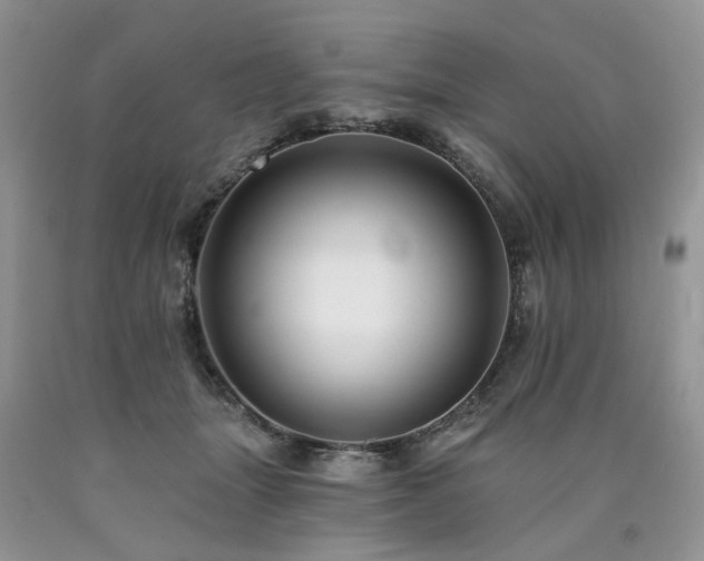 X0000090780463200707201527