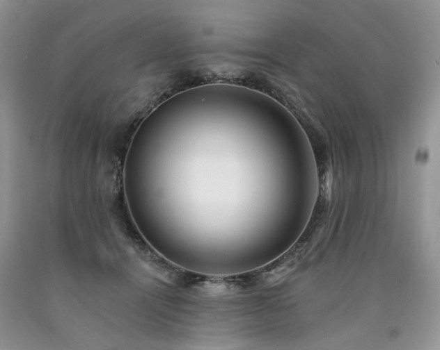 X0000090780464200707201527