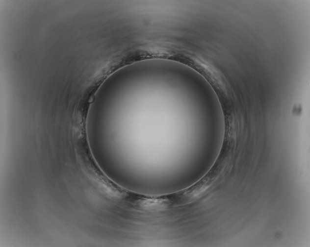 X0000090780465200707201527