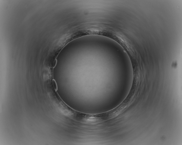 X0000090780467200707201527