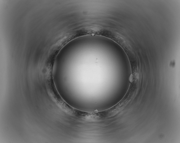 X0000090780468200707201527