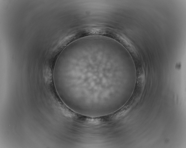X0000090780469200707201527
