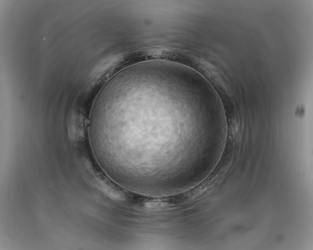 X0000090780470200707201527