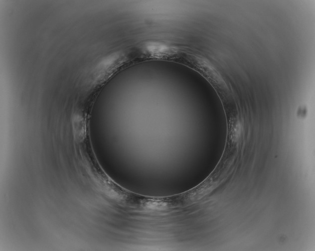 X0000090780471200707201527