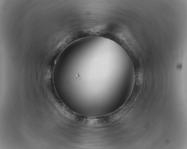 X0000090780472200707201527