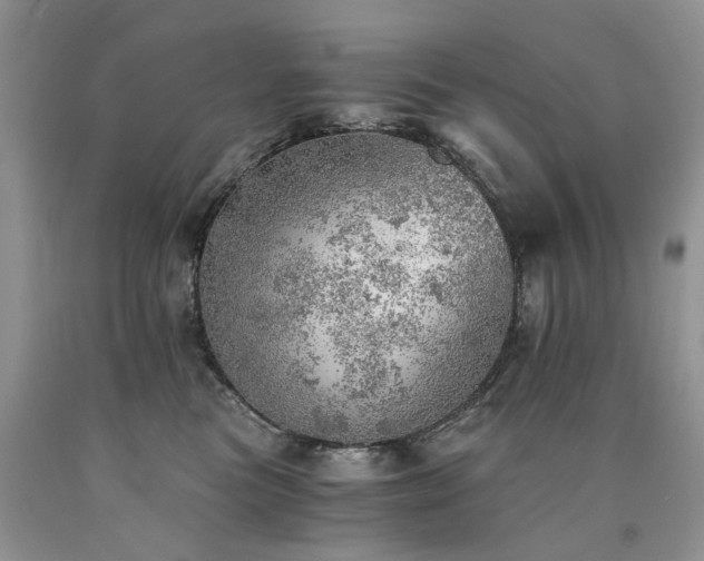 X0000090780473200707201527
