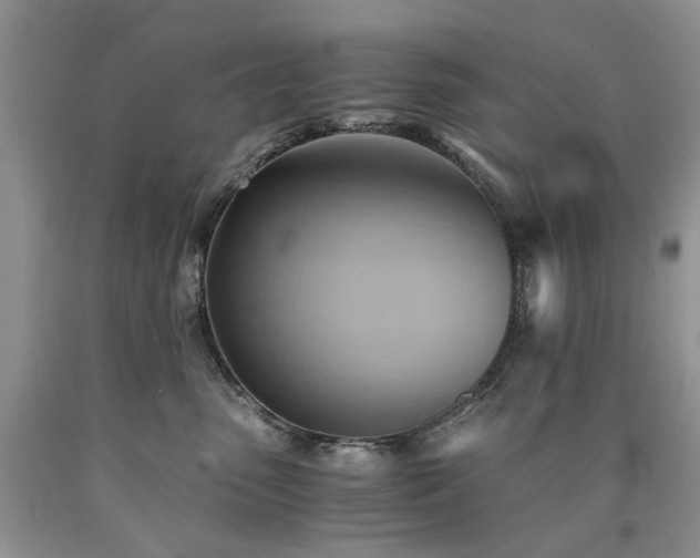 X0000090780475200707201527