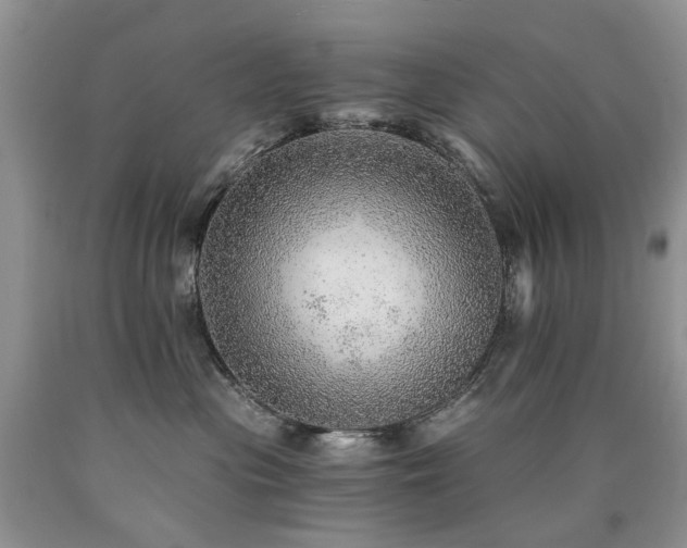 X0000090780477200707201527