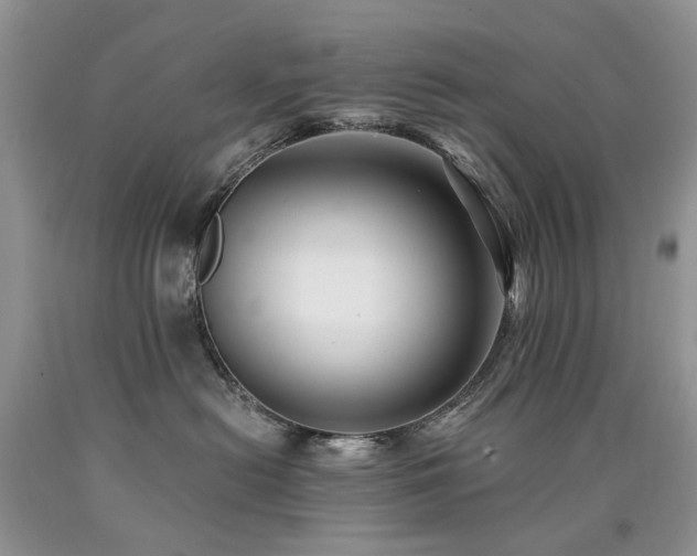 X0000090780478200707201527