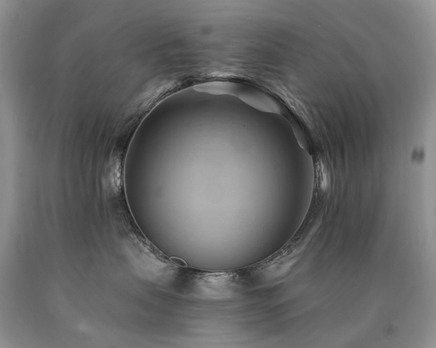 X0000090780479200707201527