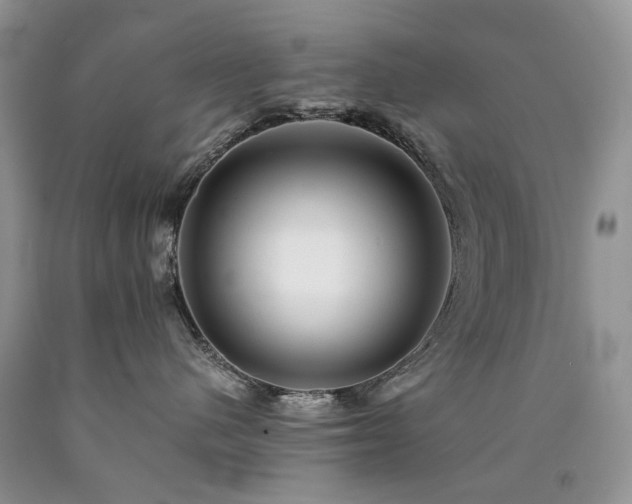 X0000090780480200707201527
