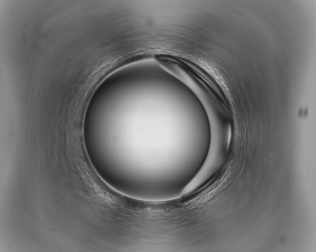 X0000090780481200707201526