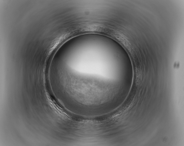 X0000090780482200707201526
