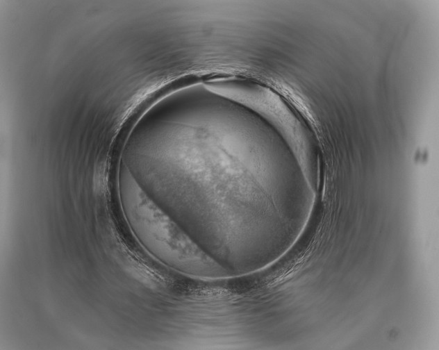 X0000090780483200707201526