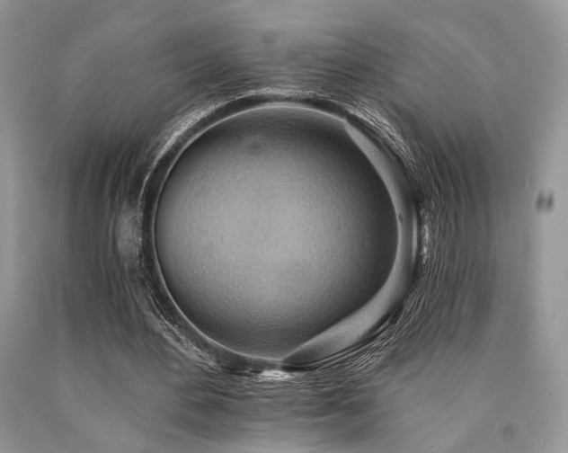 X0000090780484200707201526