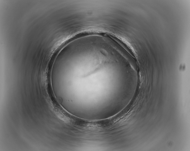 X0000090780487200707201526
