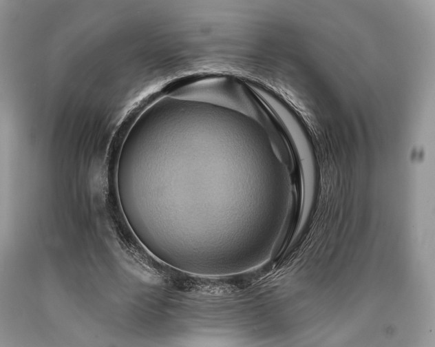 X0000090780488200707201526