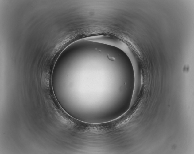 X0000090780489200707201526