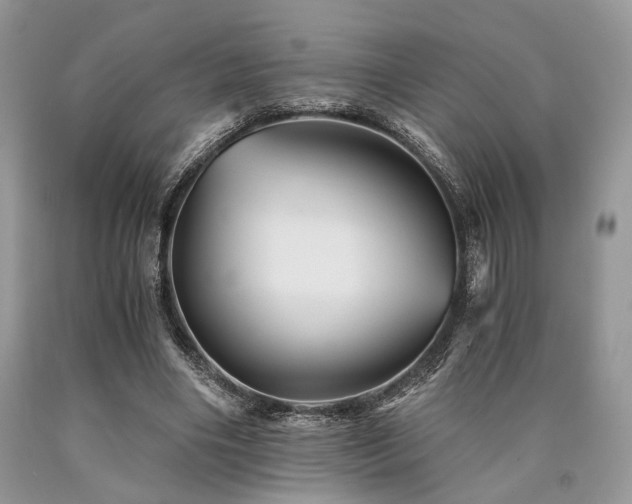 X0000090780490200707201526