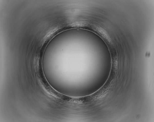 X0000090780491200707201526