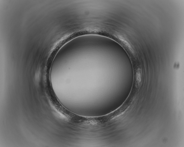 X0000090780492200707201526