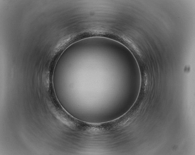 X0000090780494200707201526