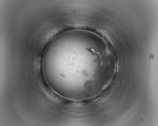 X0000090780495200707201526