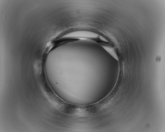 X0000090780496200707201526