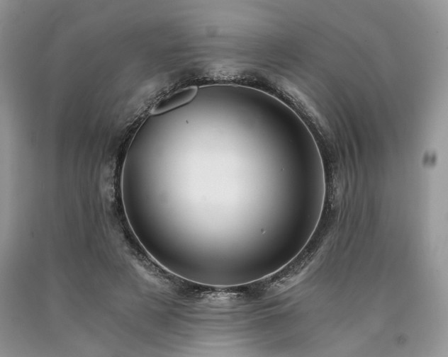 X0000090780497200707201526