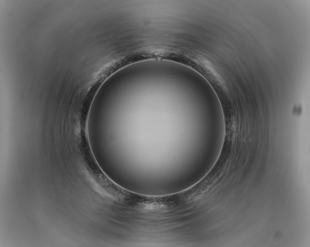 X0000090780500200707201526