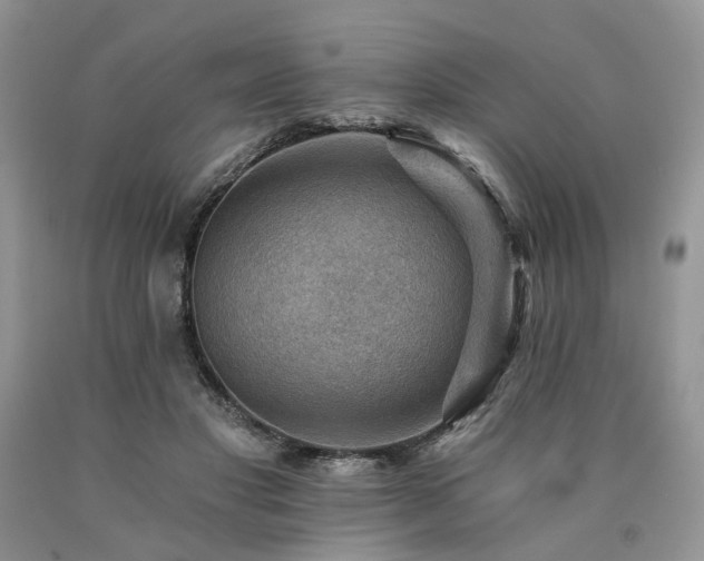 X0000090780501200707201526