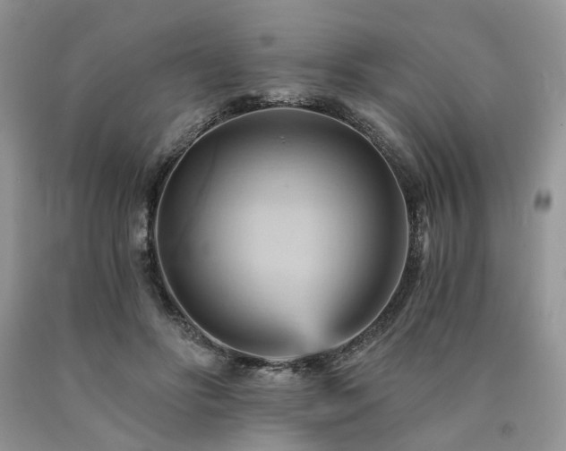 X0000090780502200707201526