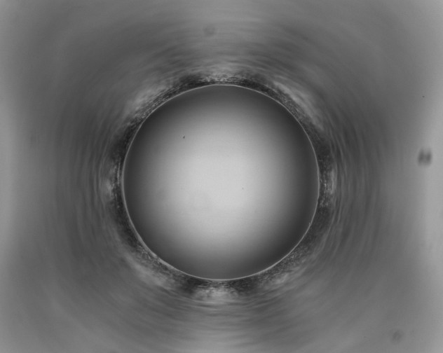 X0000090780503200707201526