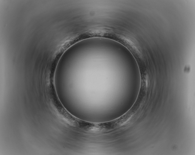X0000090780504200707201526