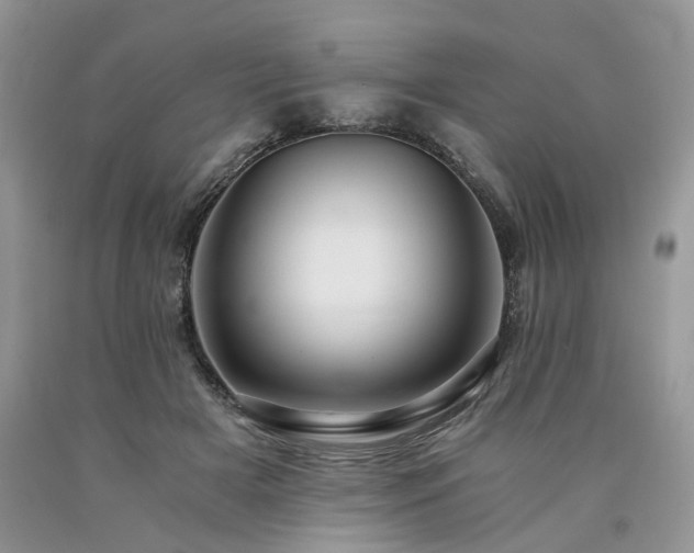 X0000090780505200707201526