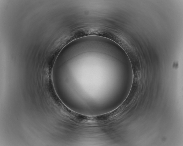 X0000090780506200707201526