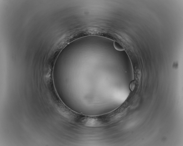 X0000090780507200707201526