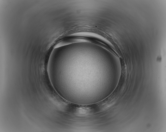 X0000090780508200707201526