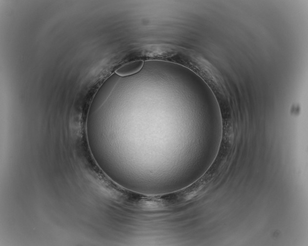X0000090780510200707201526