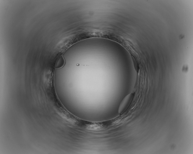 X0000090780511200707201526