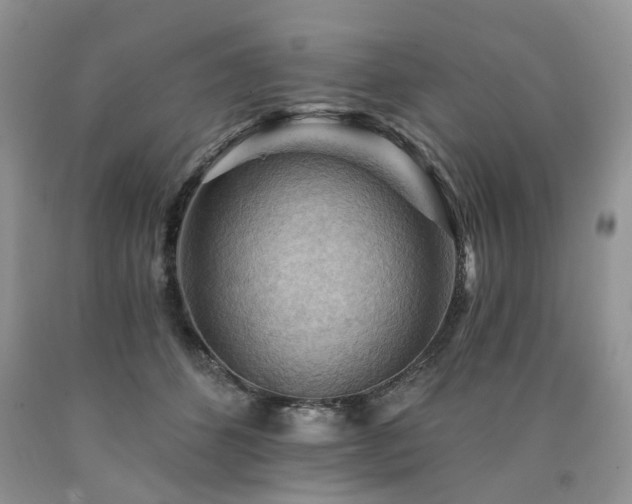 X0000090780512200707201526