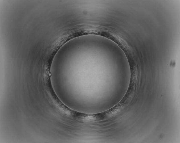 X0000090780513200707201526
