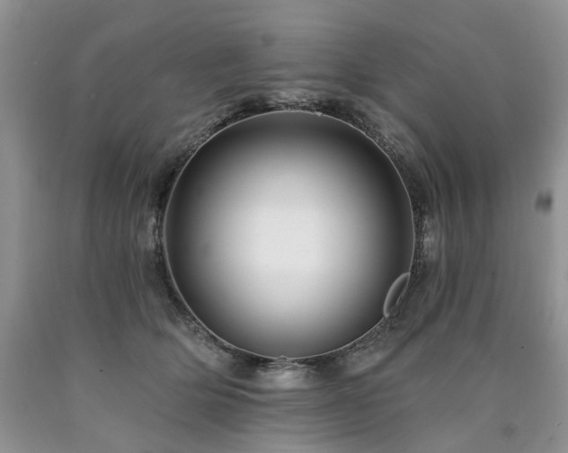 X0000090780514200707201526