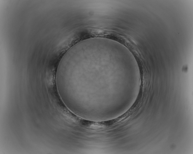 X0000090780515200707201526