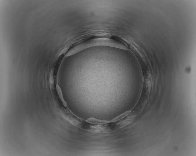 X0000090780516200707201526